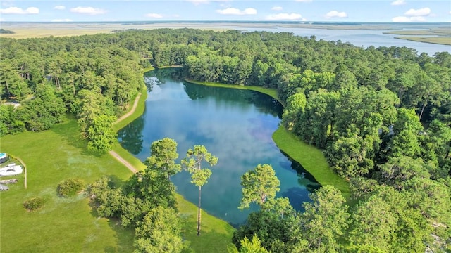 drone / aerial view featuring a water view