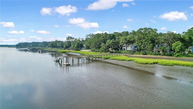 water view featuring a dock