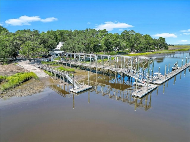 dock area with a water view