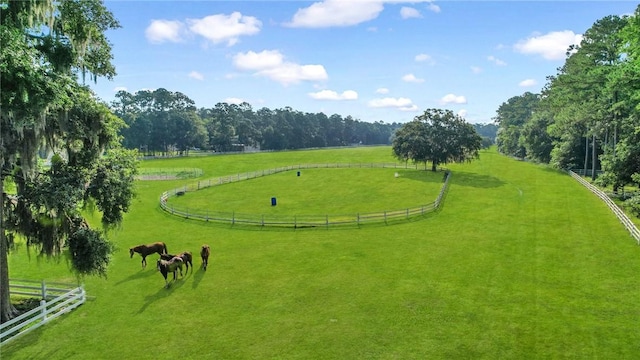 view of home's community with a yard and a rural view