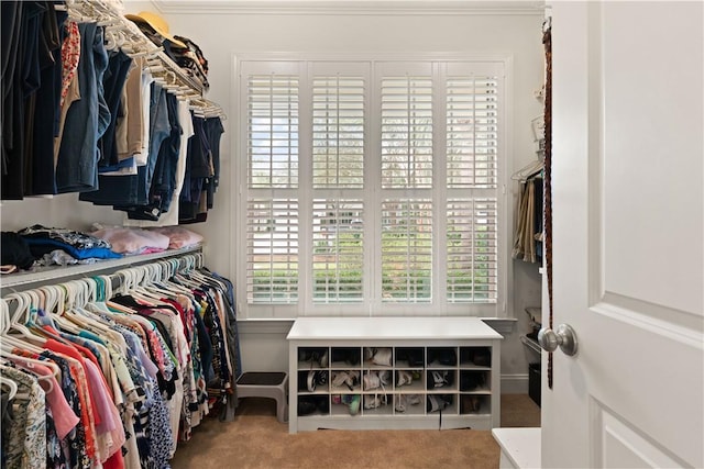 1045 Sinclair Pointe Pt, Saint Simons Island, GA 31522 - walk in closet featuring carpet flooring