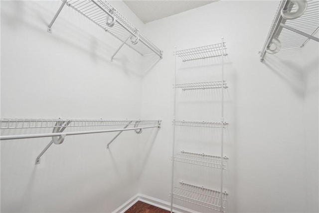 spacious closet featuring hardwood / wood-style flooring