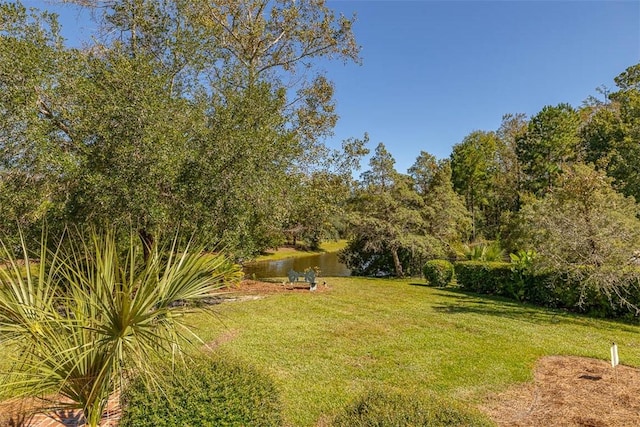 view of yard featuring a water view