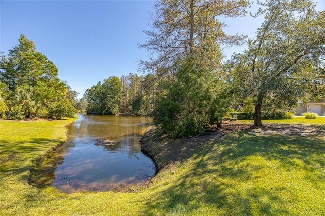 view of water feature