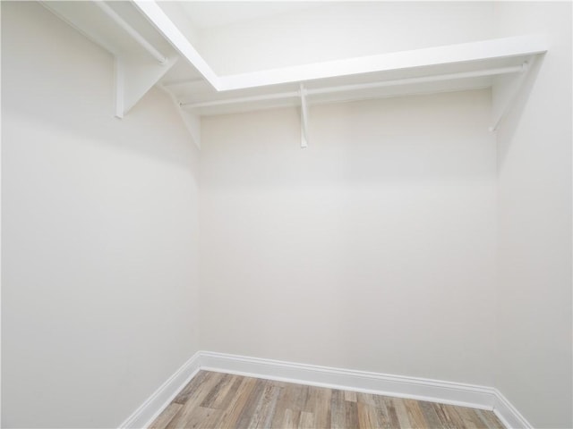 spacious closet featuring light hardwood / wood-style floors