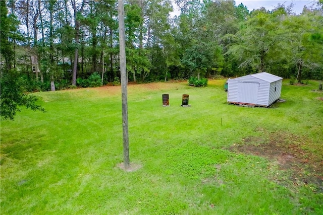 view of yard featuring a shed