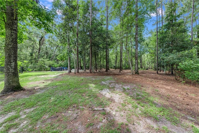 427 Lighthouse Cir, Woodbine, GA 31569 - photo 12