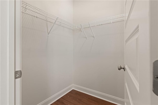 walk in closet featuring wood-type flooring