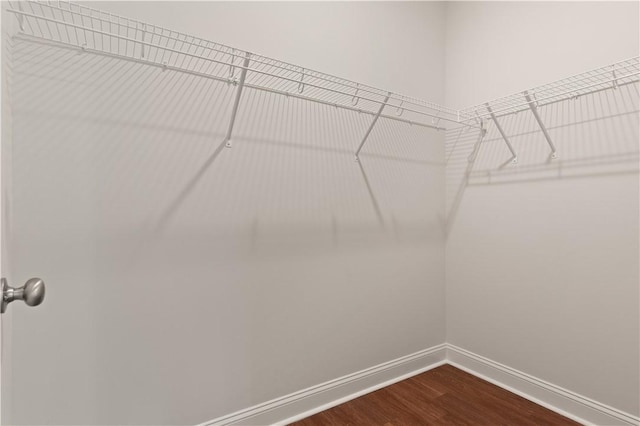 spacious closet featuring wood-type flooring