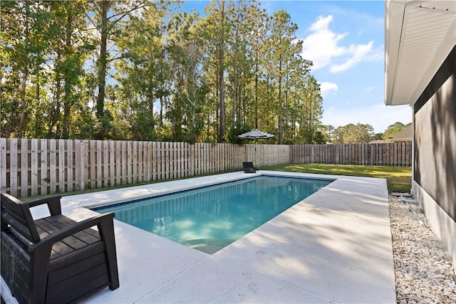 view of swimming pool featuring a patio