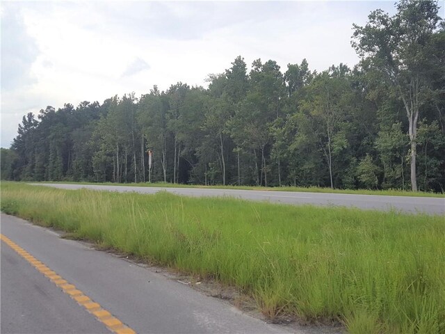 3078 US Highway 17 S, Brunswick, GA 31523 - photo 3