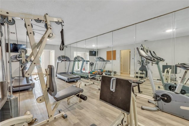 workout area featuring wood finished floors