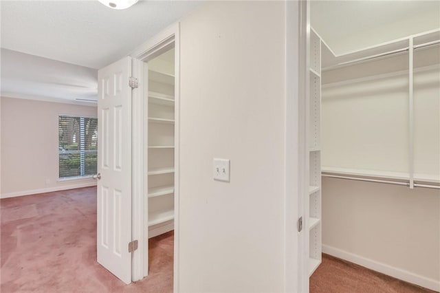 spacious closet with carpet flooring