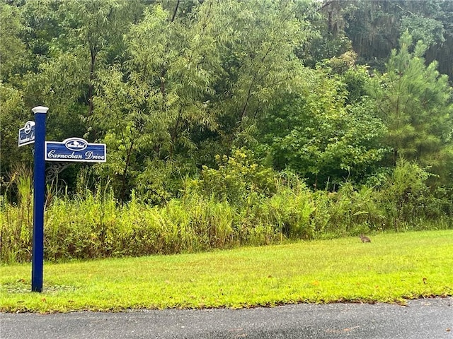 Listing photo 2 for LOT20 Carnochan Dr, Darien GA 31305