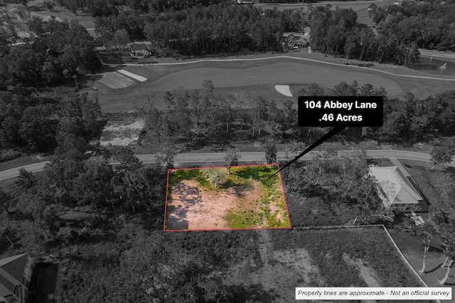 LOT104 Abbey Ln, Waverly, GA 31565 - photo 1