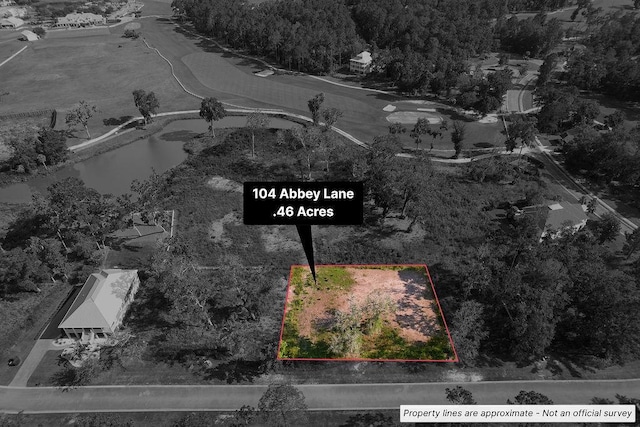 LOT104 Abbey Ln, Waverly, GA 31565 - photo 3
