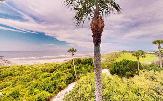 property view of water featuring a beach view