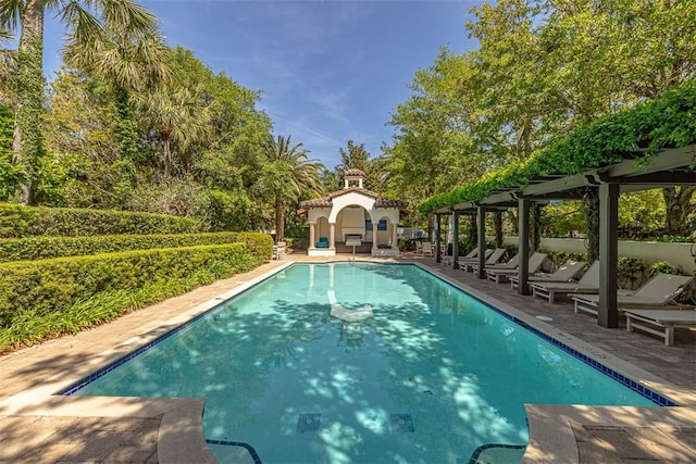 view of swimming pool with a patio