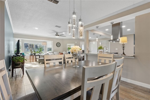 15 Merganser Way, Woodbine, GA 31569 - dining area featuring visible vents, baseboards, ornamental molding, wood finished floors, and a textured ceiling