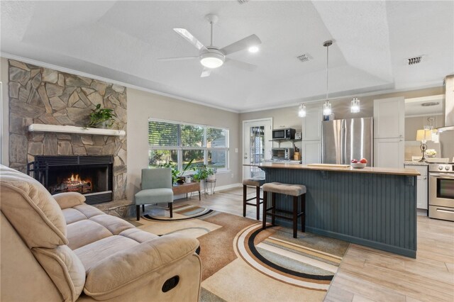 15 Merganser Way, Woodbine, GA 31569 - living area featuring a stone fireplace, a raised ceiling, light wood-style flooring, and visible vents