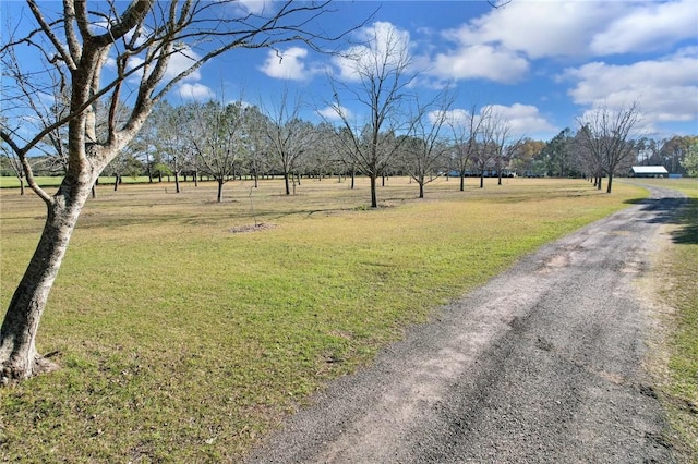 view of yard with driveway