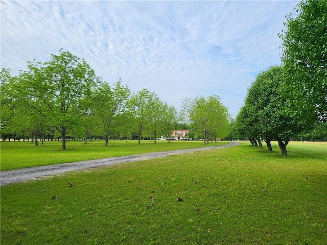 view of home's community with a lawn