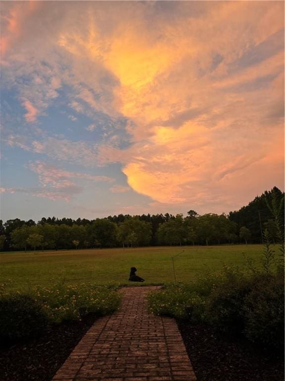 view of yard at dusk