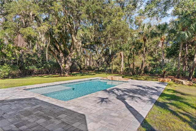 view of swimming pool featuring a patio area and a lawn