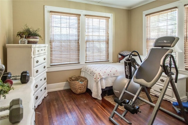 interior space with baseboards, crown molding, wood-type flooring, and plenty of natural light
