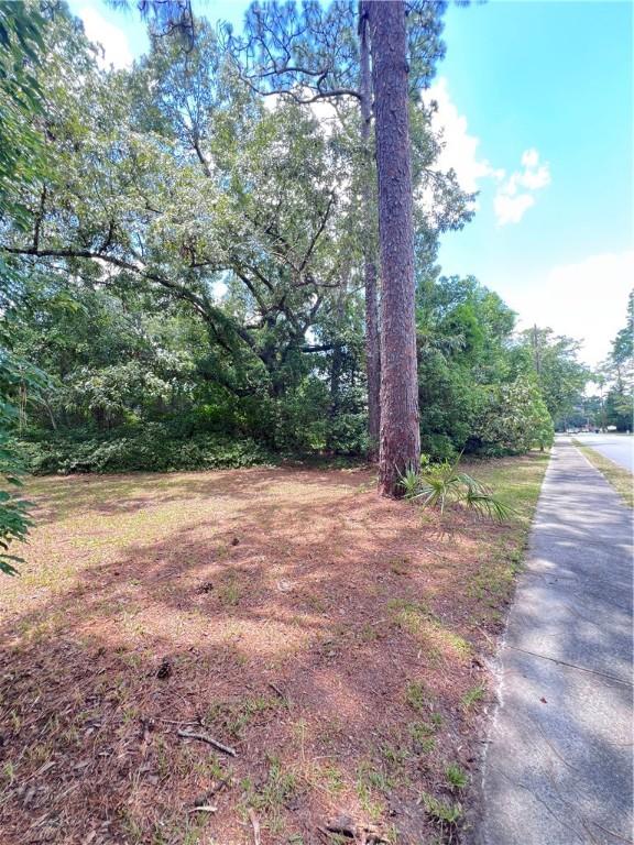 500 Georgia Ave, Woodbine, GA 31569 - photo 37