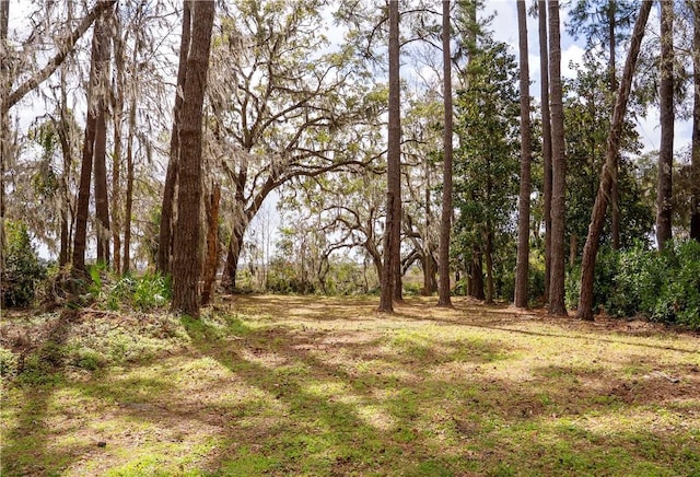 Listing photo 3 for 376 Major Wright Rd, Saint Simons Island GA 31522