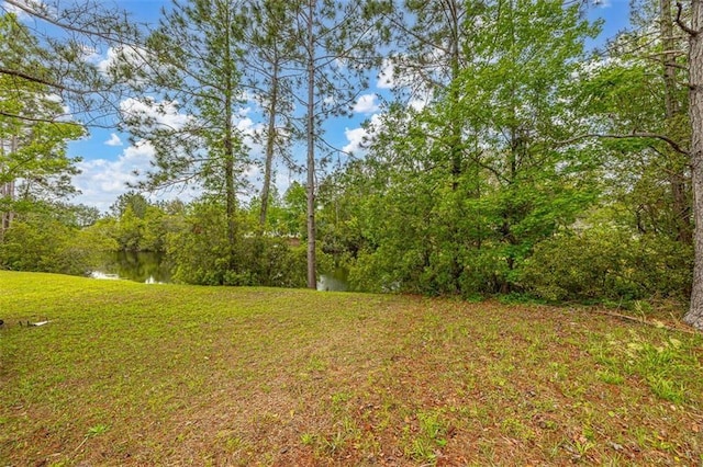 145 Spring Lake Cir, Brunswick, GA 31525 - photo 8