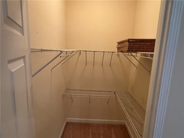 448 Moss Creek Ln, Brunswick, GA 31520 - view of spacious closet