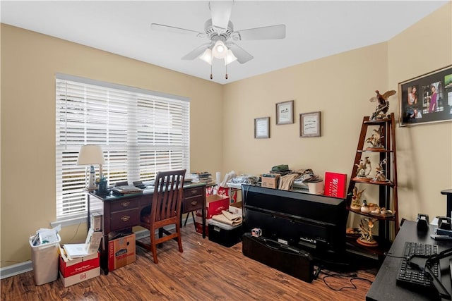 office space featuring hardwood / wood-style flooring and ceiling fan