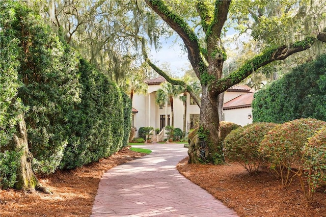 316 Forest Oaks, Saint Simons Island, GA 31522 - view of home's community