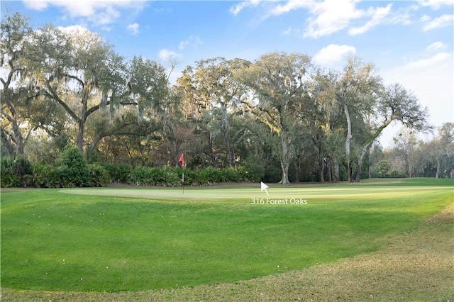316 Forest Oaks, Saint Simons Island, GA 31522 - view of home's community featuring a yard and view of golf course