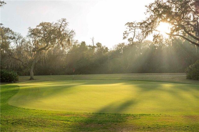 316 Forest Oaks, Saint Simons Island, GA 31522 - surrounding community with golf course view
