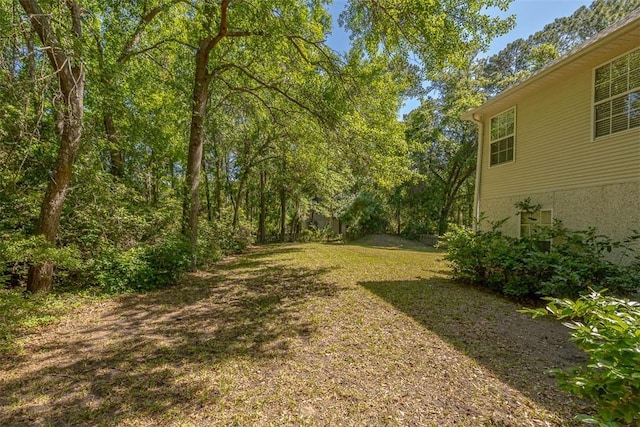 212 Stillwater Dr, Brunswick, GA 31525 - view of yard