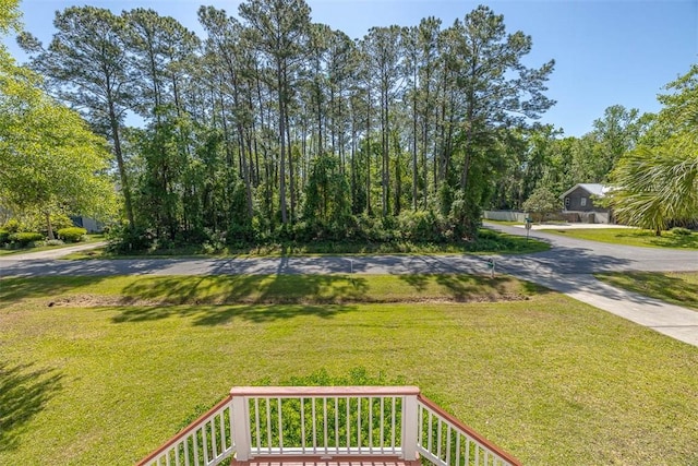 212 Stillwater Dr, Brunswick, GA 31525 - view of yard