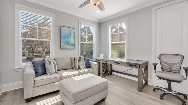 office space featuring ceiling fan, light wood-type flooring, and crown molding