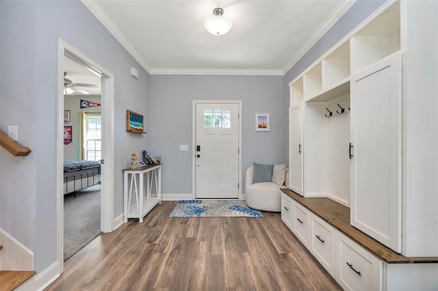 69 Allie Loop, Brunswick, GA 31525 - mudroom featuring plenty of natural light, wood finished floors, crown molding, and ceiling fan