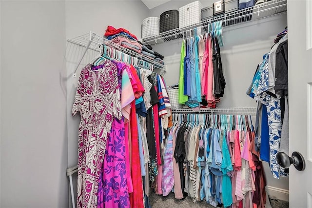 69 Allie Loop, Brunswick, GA 31525 - spacious closet featuring carpet floors
