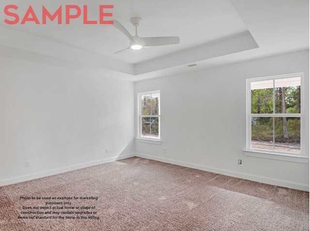 unfurnished room featuring carpet, a raised ceiling, and ceiling fan