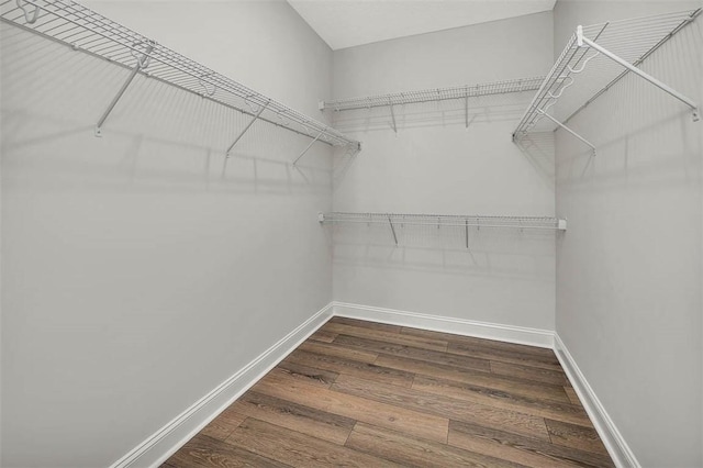 walk in closet featuring dark hardwood / wood-style flooring