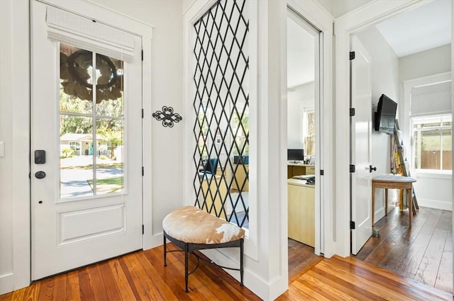 entryway with baseboards and wood-type flooring