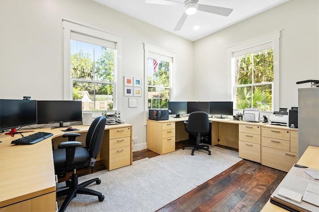 home office with a wealth of natural light, ceiling fan, and dark wood-style flooring