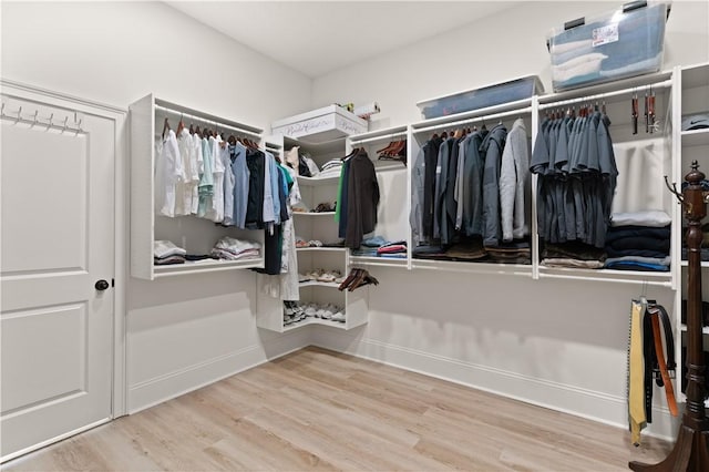 walk in closet featuring wood finished floors