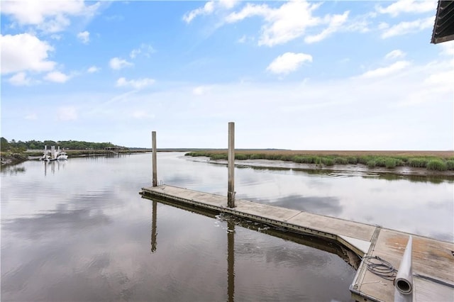 dock area featuring a water view