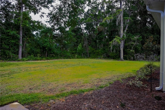 197 Little Satilla Trl, Waverly, GA 31565 - photo 33