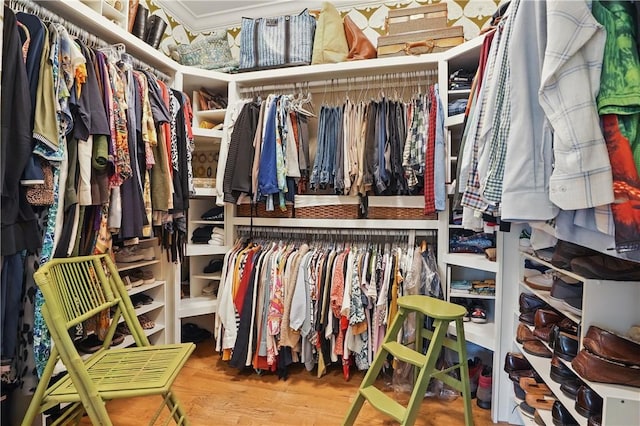 walk in closet with wood finished floors